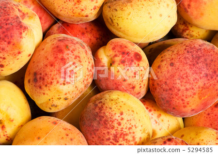 Many colourful red apricots at the backhround 5294585