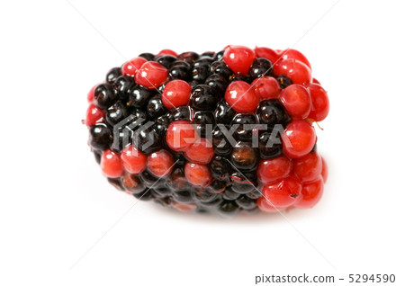 Extreme close up of berry isolated on white Extreme close up of berry isolated on white 5294590