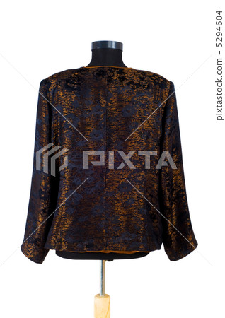 Stylish jacket isolated on the white background Stylish jacket isolated on the white background 5294604