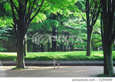 Fresh green Kinutakoen Fresh green Kinutakoen 5294999