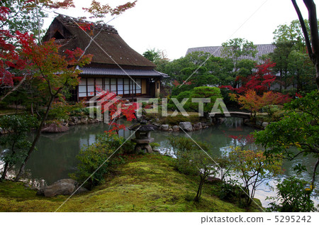 Isuien Garden in Autumn / Japanese Garden (Nara City) 5295242