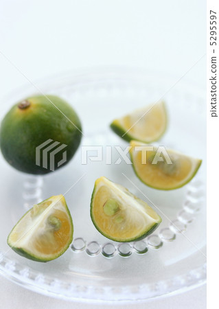 Sequier為健康 5295597