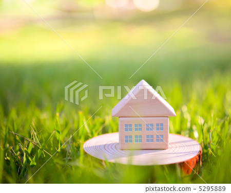 Lawn and blocks of building blocks 5295889