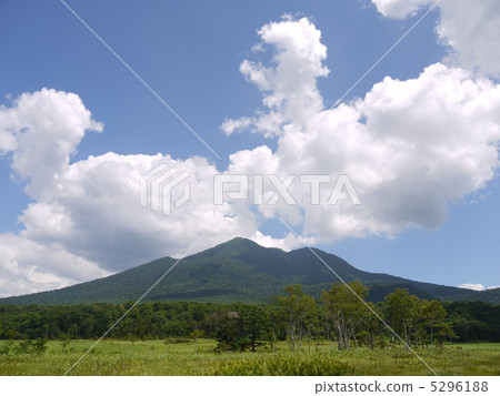 Oze的夏天 Oze的夏天 5296188