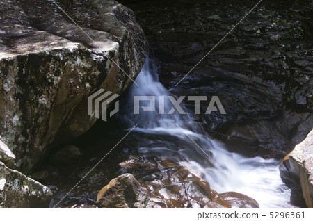 Red eyed falls 5296361