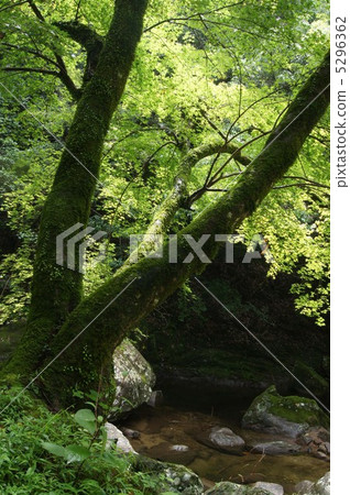 Red Eye Valley Red Eye Valley 5296362