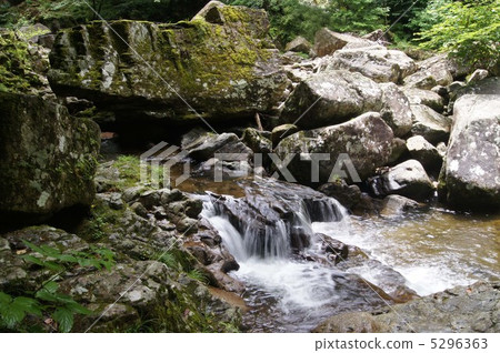 Red eyed falls 5296363