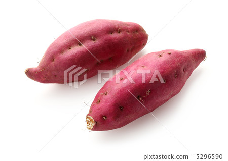 甘藷 甘藷 5296590