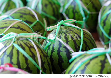 西瓜銷售-2 5296772