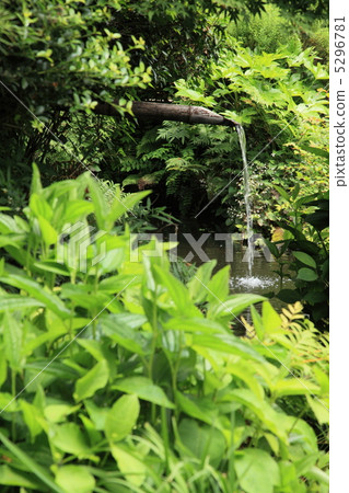 Shishi-cho and green garden Shishi-cho and green garden 5296781