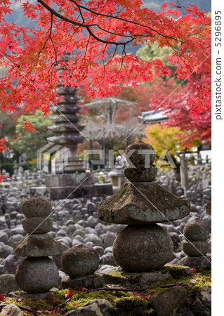 Autumn leaves of Nanno Buddha Temple 5296895
