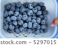 Blueberries 5297015