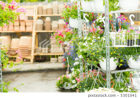 Hangup pots with flowers in garden center 5301041