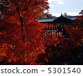 Autumn leaves in Kyoto 5301540