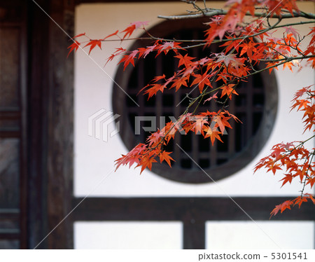 秋葉Eiyu寺廟 5301541