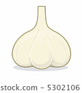 Garlic 5302106