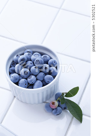 blueberry 5302521