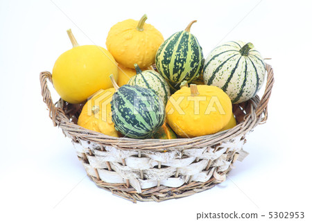 Toy squash Toy squash 5302953