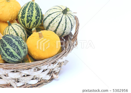 Toy squash Toy squash 5302956