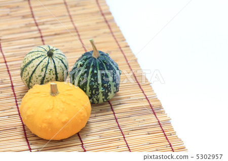 Toy squash Toy squash 5302957