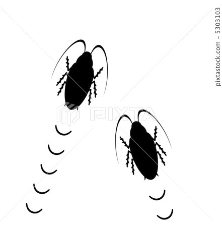 Wandering cockroaches 5303103