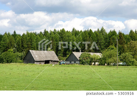 The house and field The house and field 5303916