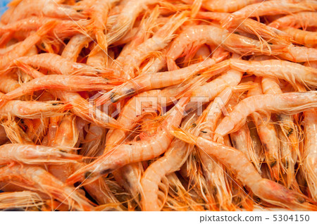 shrimps at fishmarket 5304150