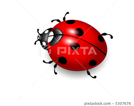 Ladybird. Vector illustration of ladybug on white background. Ep 5307676