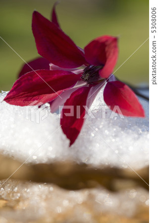 Tessen Tessen 5308006