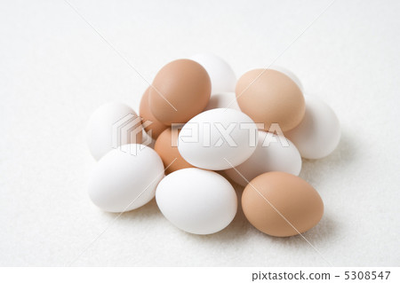 雞蛋 5308547