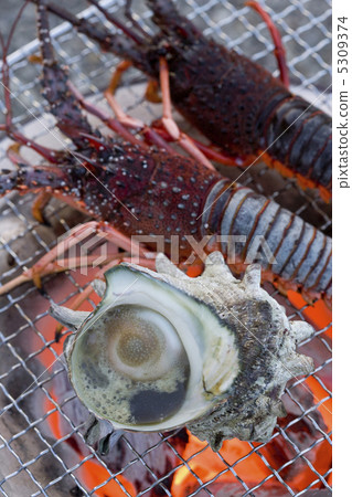 Sasae and Ise shrimp 5309374