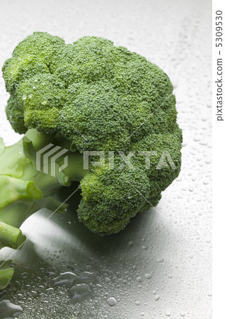 broccoli broccoli 5309530