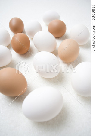 Egg Egg 5309817