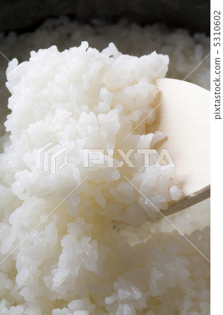 白米 5310602