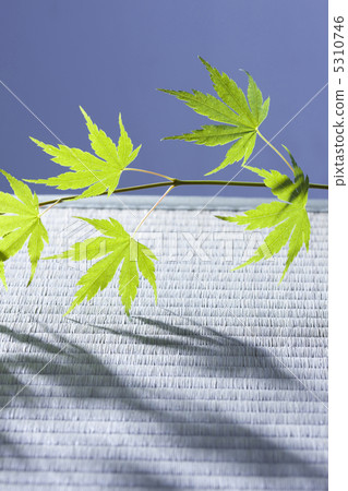 Japanese style image 5310746