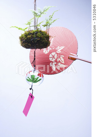 夏天的形象 夏天的形象 5310846