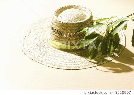 夏天的形象 5310907