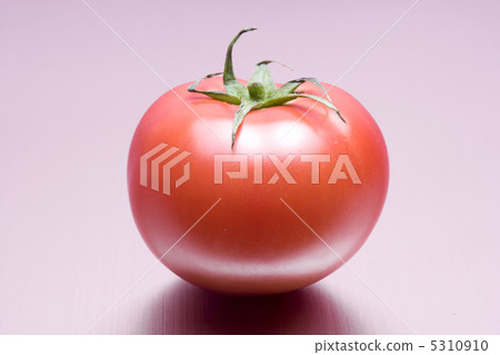 蕃茄 5310910