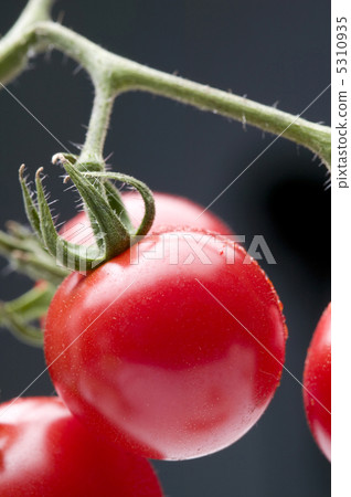 Petit tomatoes  5310935