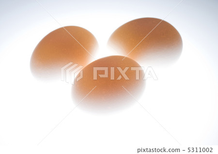 Egg Egg 5311002