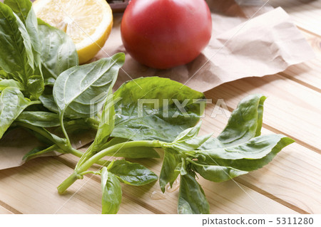 Sweet basil Sweet basil 5311280