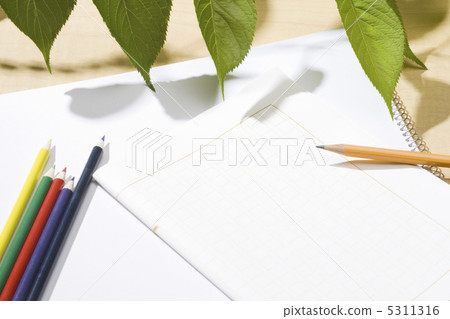 Summer vacation image 5311316