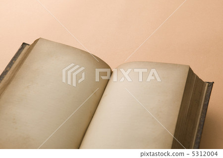 Antique book 5312004
