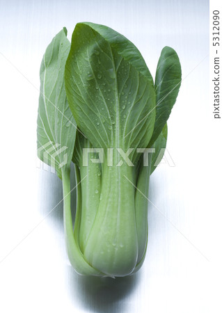 Bok-choy Bok-choy 5312090