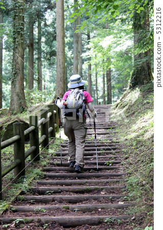 Woman trekking 5312216