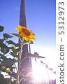 Sunflower and palm tree 5312973