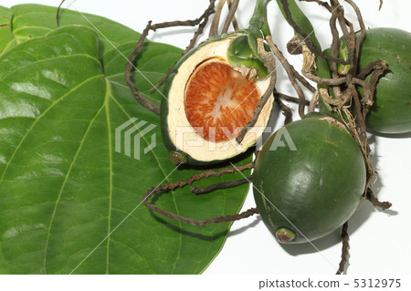 Bottle cinema leaves Bangkok Thailand Bottle cinema leaves Bangkok Thailand 5312975