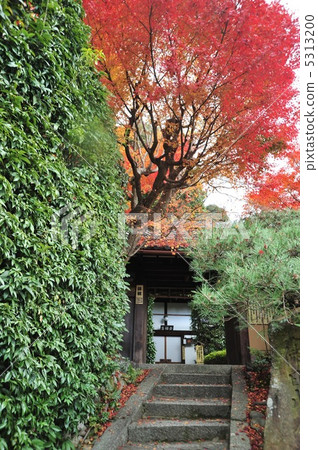 Fall of Kyoto Fukushiji in Kyoto Fall of Kyoto Fukushiji in Kyoto 5313200