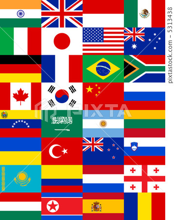 The national flag 5313438