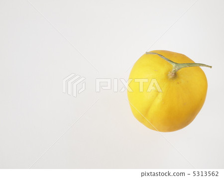 Yellow canary melon 5313562
